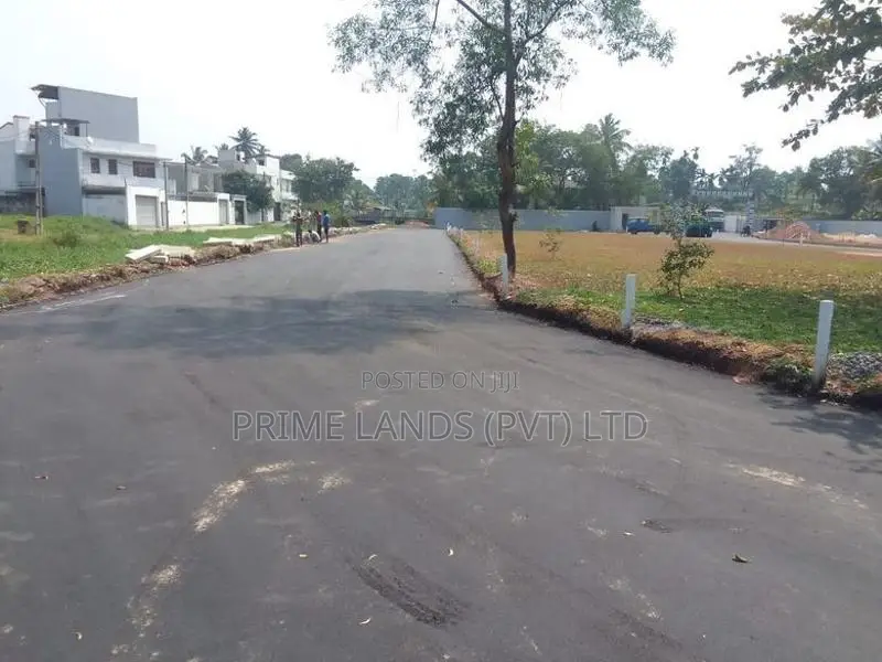 වත්තල කිරිබත්ගොඩ පාරෙන් බිම් කොටස්