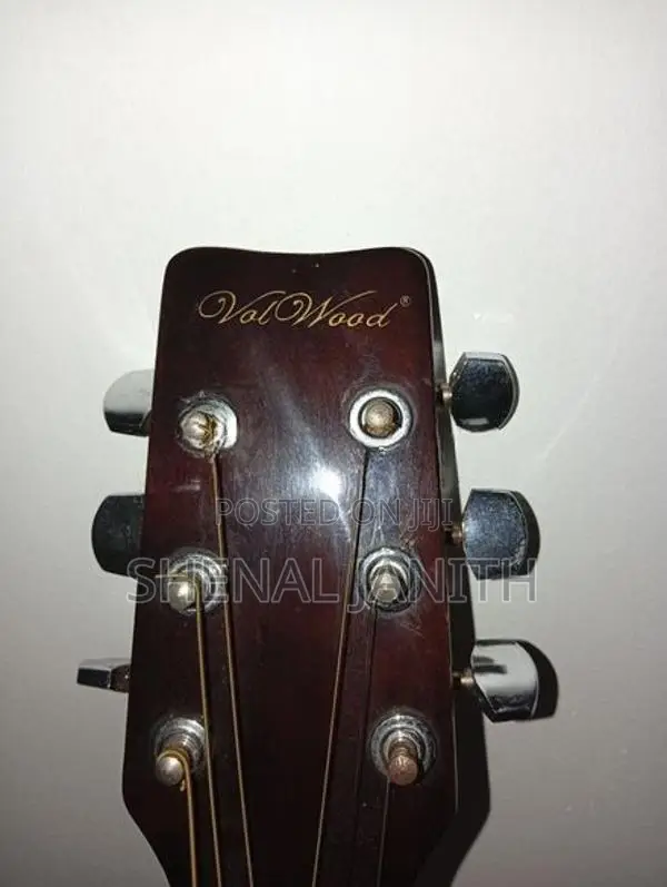 Guitar
