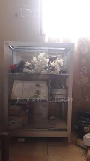 Display Showcase