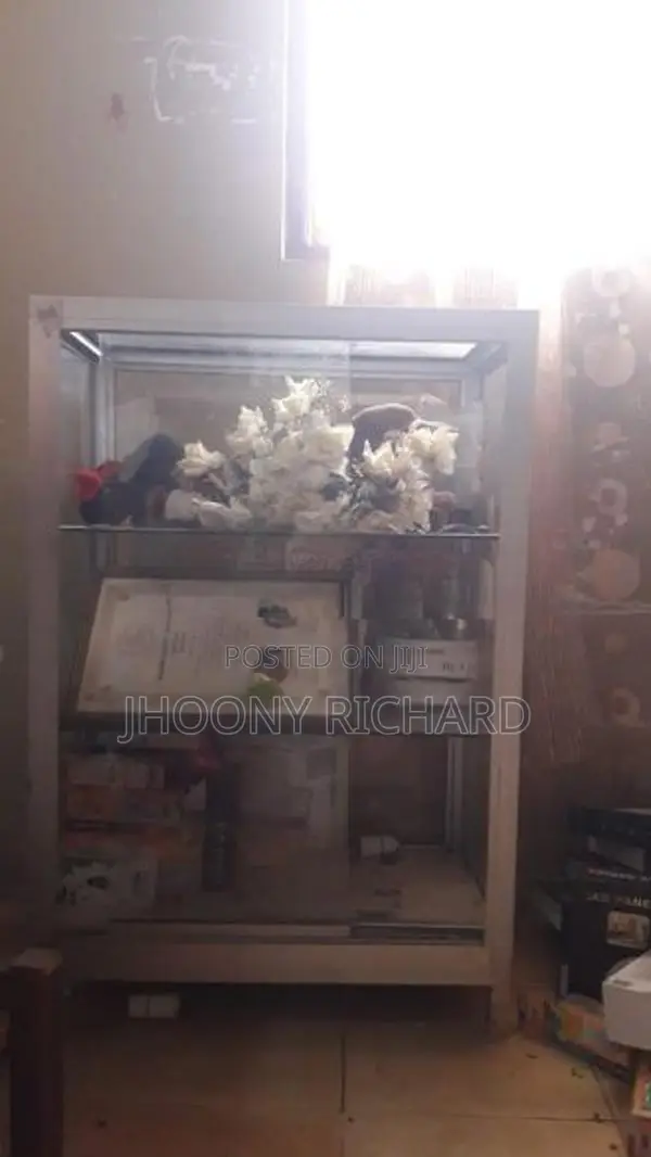 Display Showcase
