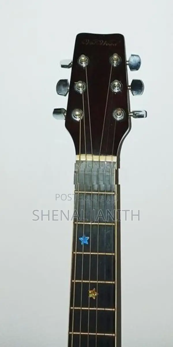 Guitar