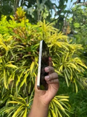 Apple iPhone 16 Pro 128GB (Used)