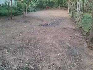 Kadawathin Padinchiyata Idamak