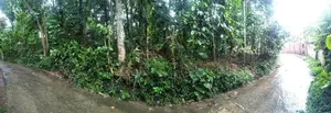 Kandy Kundasale Land for Sale