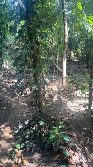 Kandy Kundasale Land for Sale