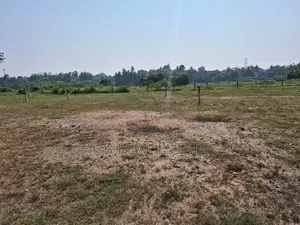 15 P Paddy Fields Facing Bare Land for Sale Amaragoda Rd