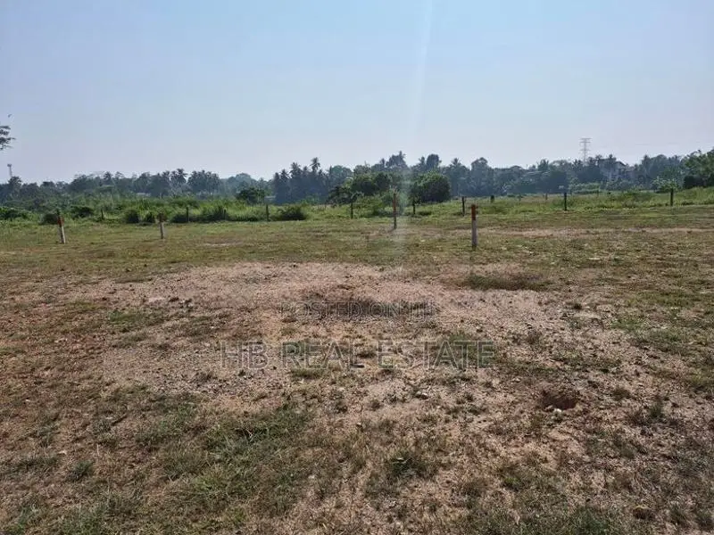 15 P Paddy Fields Facing Bare Land for Sale Amaragoda Rd