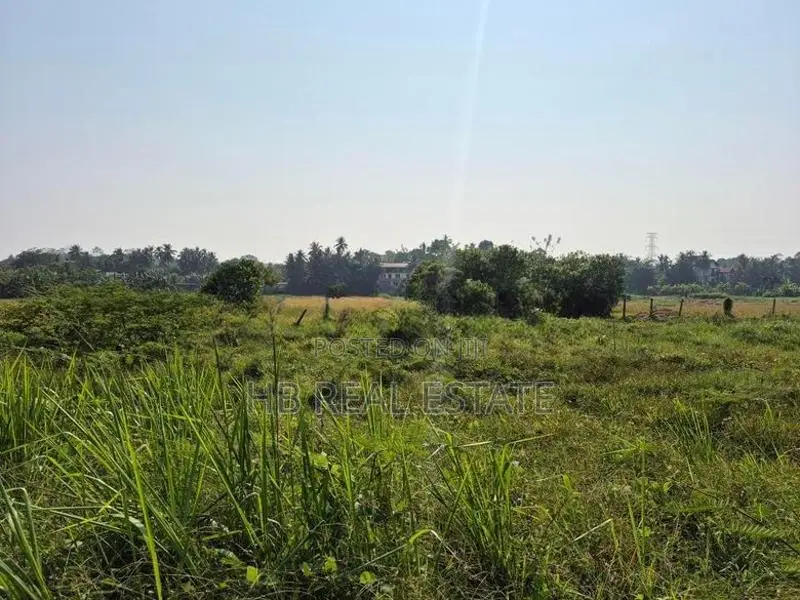 15 P Paddy Fields Facing Bare Land for Sale Amaragoda Rd
