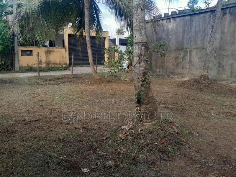 Kotikawaththa Nagarayen Bim Kotasak