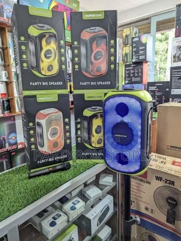 Hopestar Party 300 Speakers with Wirless Mic (80W)