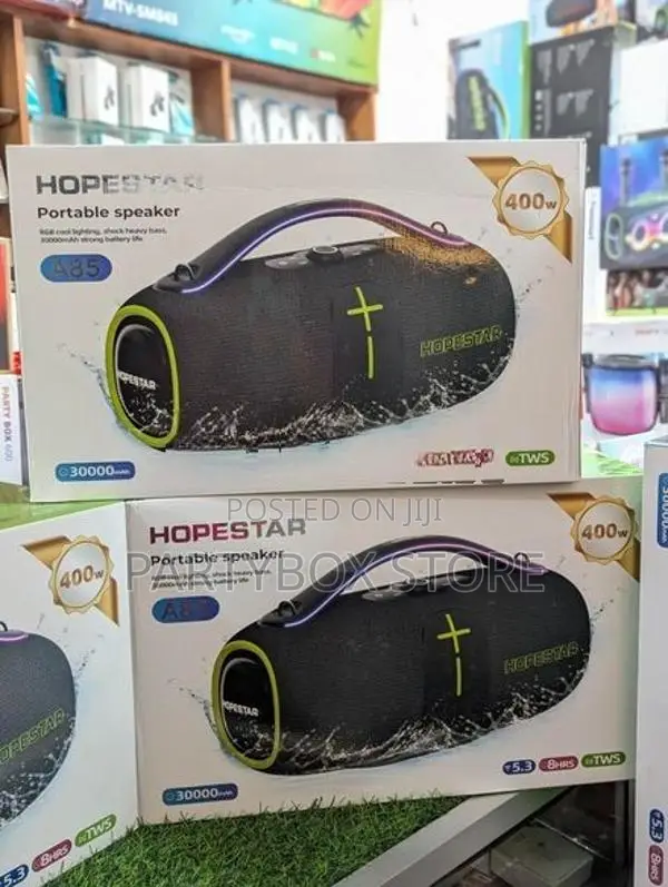 Outdoor Party Speakers with Wireless Mic (400W)