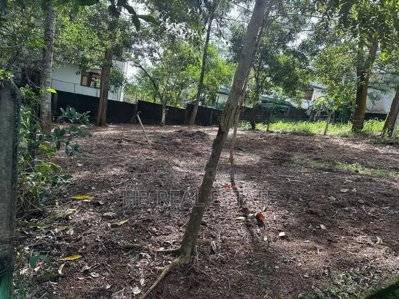 12 P Residential Bare Land For Sale Malabe