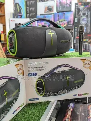 Outdoor Party Speakers with Wireless Mic (400W)