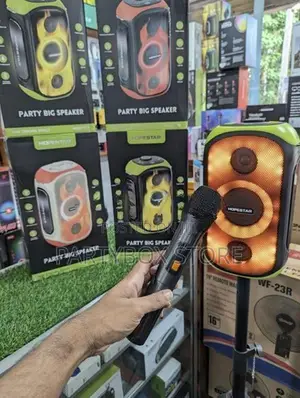 Hopestar Party 300 Speakers with Wirless Mic (80W)