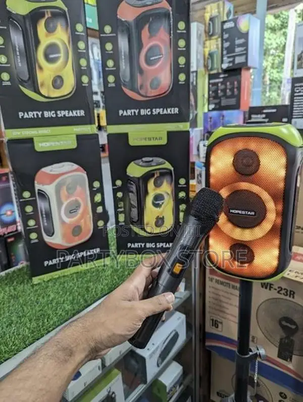 Hopestar Party 300 Speakers with Wirless Mic (80W)