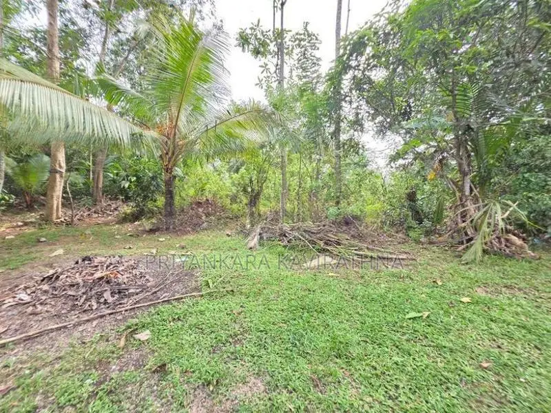 පර්චස් 37 ක වටිනා ඉඩම් කැබැල්ල විකිනීමට - පයාගල