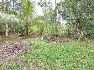 පර්චස් 37 ක වටිනා ඉඩම් කැබැල්ල විකිනීමට - පයාගල