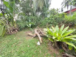 පර්චස් 37 ක වටිනා ඉඩම් කැබැල්ල විකිනීමට - පයාගල