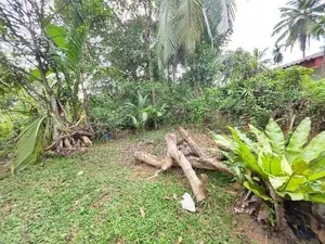 පර්චස් 37 ක වටිනා ඉඩම් කැබැල්ල විකිනීමට - පයාගල
