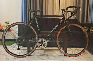Viking 1.0 omnium rode bicycle