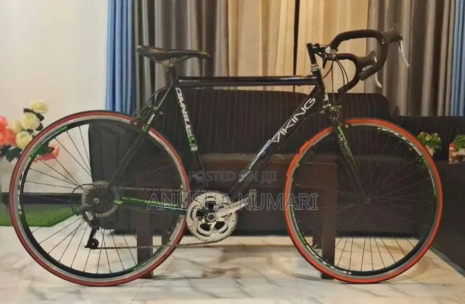 Viking 1.0 omnium rode bicycle