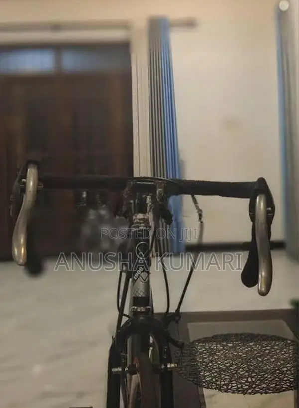 Viking 1.0 omnium rode bicycle