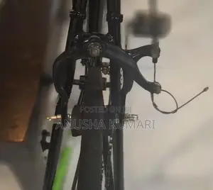 Viking 1.0 omnium rode bicycle