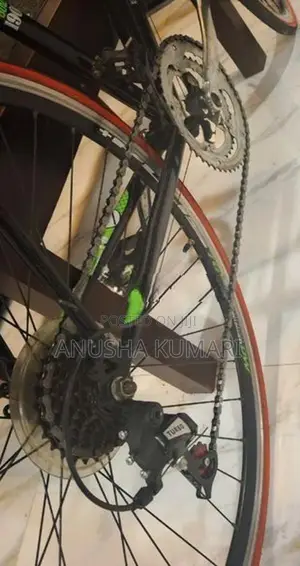 Viking 1.0 omnium rode bicycle