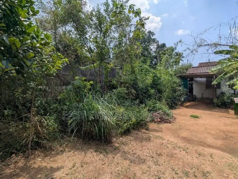 Land for Sale in Hanwella