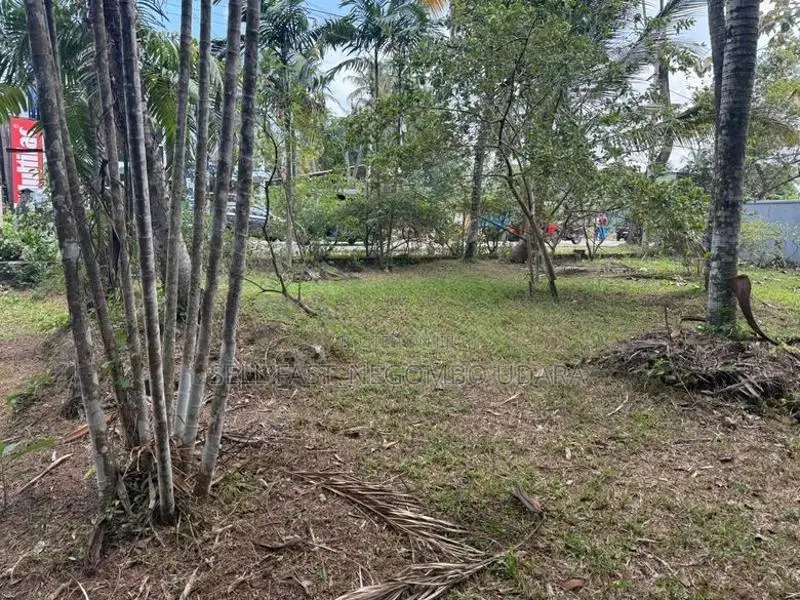 Land for sale in Minuwangoda