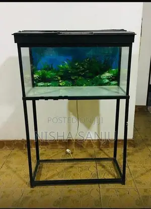 Fish Tank