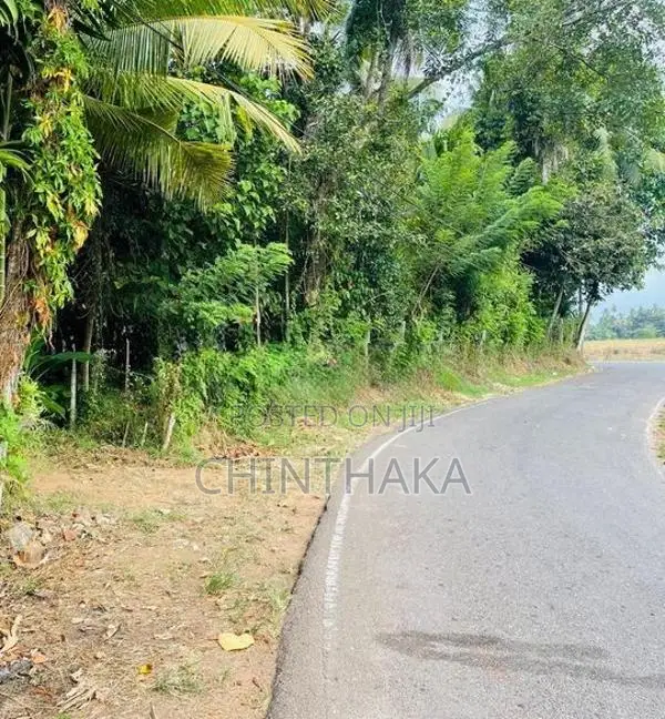Valuable Land for Sale – Balummahara, Gampaha