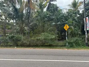 Land for sale in Minuwangoda
