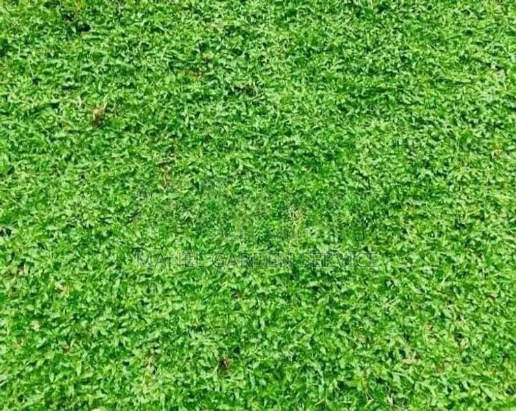 Malaysian Grass Interlock Paving Landscaping Design