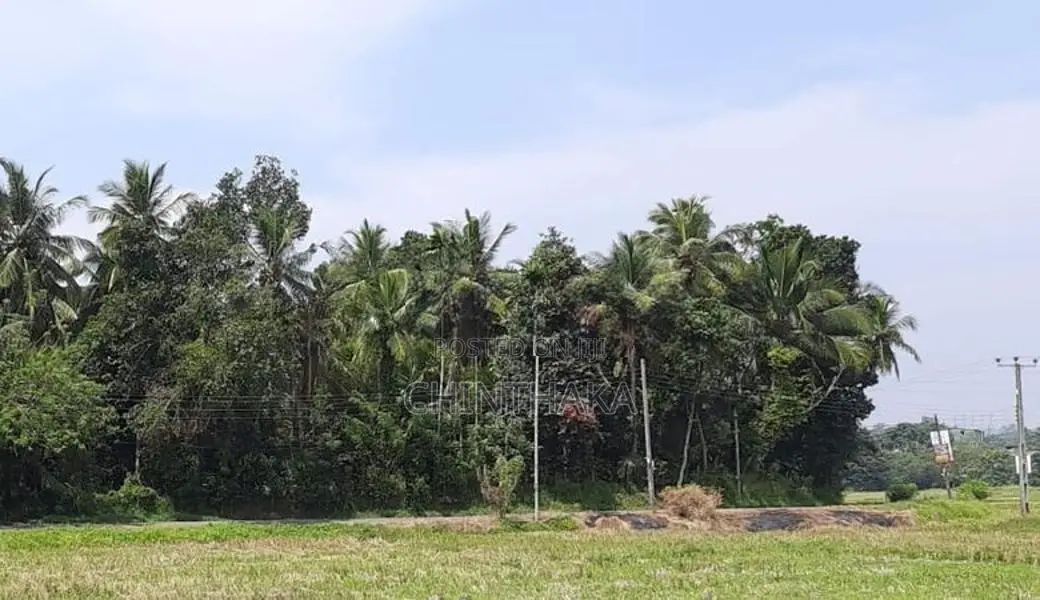 Valuable Land for Sale – Balummahara, Gampaha