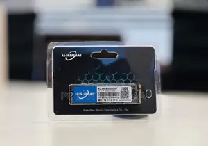 WALRAM 256GB M.2 SSD
