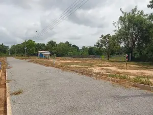 Dambulla Palwehera Land for Sale