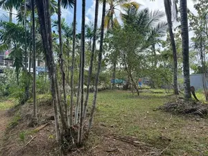 Land for sale in Minuwangoda