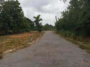Dambulla Palwehera Land for Sale