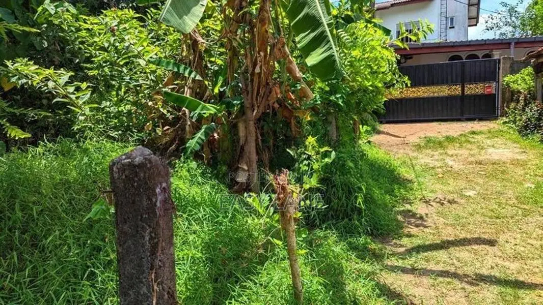 හංවැල්ල කටුනායක පාරට 100m ඉඩමක්