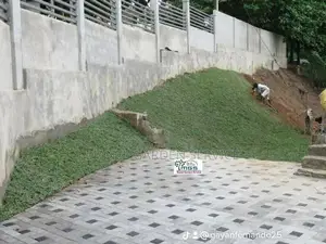 Malaysian Grass Interlock Paving Landscaping Design