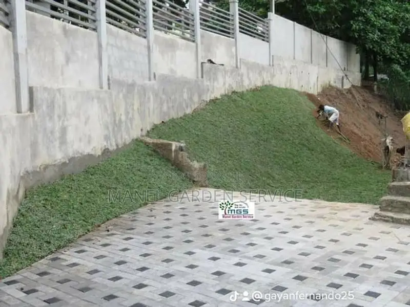 Malaysian Grass Interlock Paving Landscaping Design