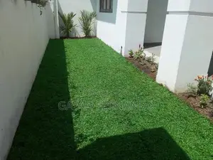 Malaysian Pidali with Carpet Grass