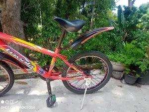 Lumala Bicycle