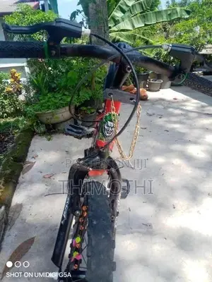 Lumala Bicycle