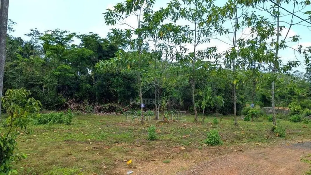 ඉඩමක් හොරණින්