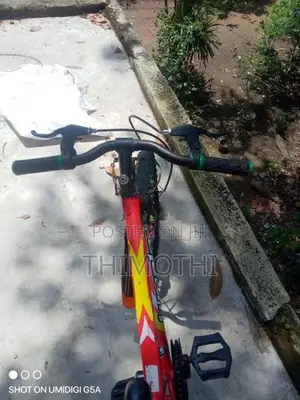 Lumala Bicycle