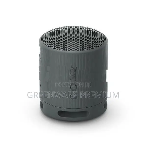 Sony XB100 Wireless Speaker