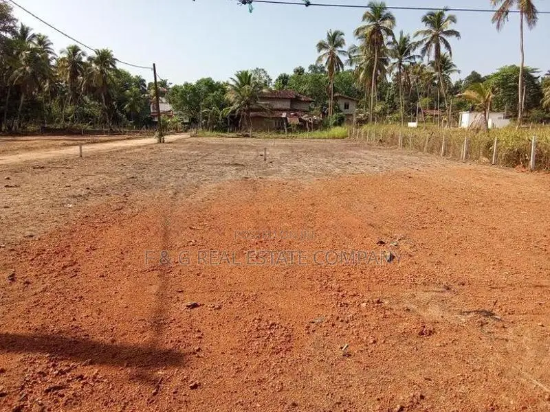 Diulapitiya Ullalapola Land for Sale