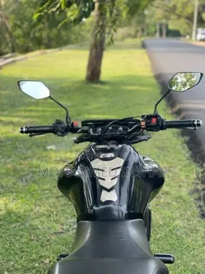Yamaha FZS V3 2019